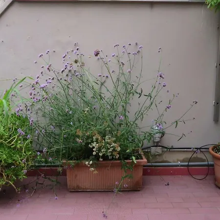 Appartement Gambara Terrace *